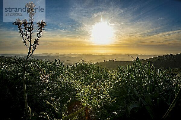 Tiefblick auf die Landschaft der Serra de Monchique am Berg Foia während des Sonnenuntergangs  in der Algarve  Portugal  Europa