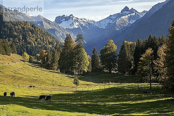 Ausblick von dOberallgäu  Allgäu  Bayern  Deutschlander Oytalstraße auf Berge der Allgäuer Alpen  Herbststimmung  herbstlich verfärbte Bäume  Oberstdorf