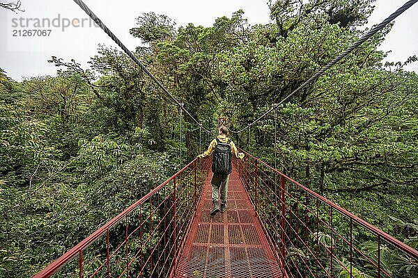 Junger Mann  Tourist auf roter Hängebrücke zwischen den Baumkronen im Regenwald  Monteverde Nebelwald  Monte Verde  Provinz Puntarenas  Costa Rica  Mittelamerika