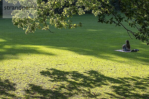 Person auf einer Decke sitzend  Sonnen beschienene Wiese unter Eichen  Frederiksberg-Park  Kopenhagen  Dänemark  Europa