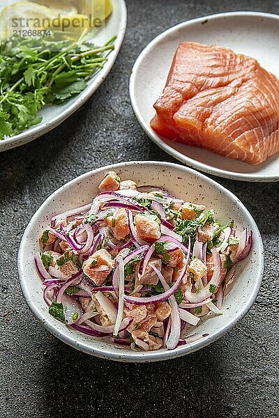 Lebensmittel  CHILEAN SALMON CEVICHE. Frischer roher Lachs mariniert mit lila Zwiebeln  Koriander in Zitronensaft. Sebiche und ingredientes auf grauem Hintergrund. Ansicht von oben