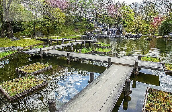 Zickzack Holzbrücke und Wasserfälle in der Ferne und Kirschblüten im japanischen Garten in Hasselt. Schöne April Tag om Belgien!