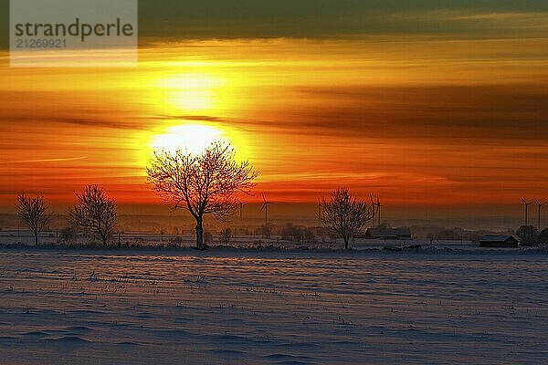 Sonnenaufgang in der Winterlandschaft mit Bäumen und Windrädern in der Silhouette