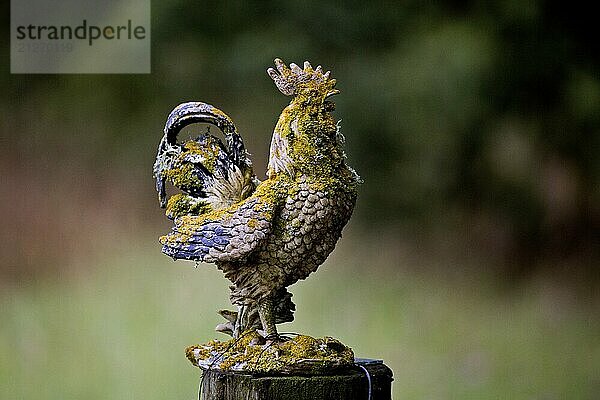 Alter Hahn Statue Huhn verwittert antik vintage