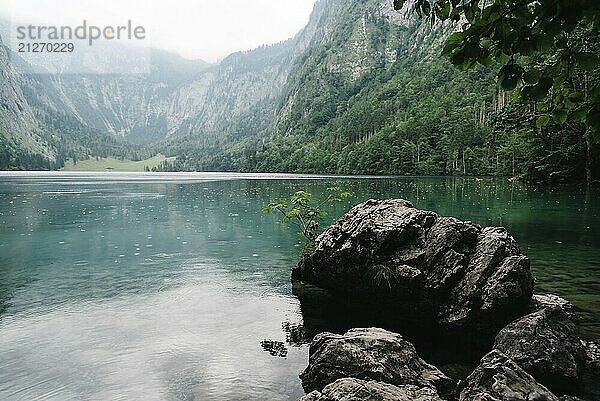 Blick auf den Obersee in Bayern an einem nebligen Tag. Rundblick