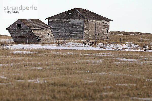 Prärielandschaft im Winter Saskatchewan Kanada malerisch