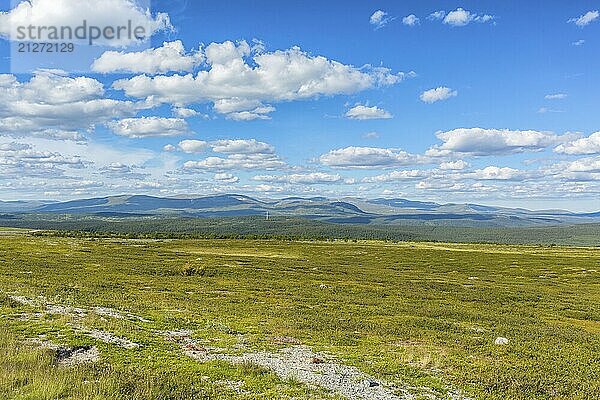 Schöne Tundra Landschaft Blick mit Bergen am Horizont im Sommer