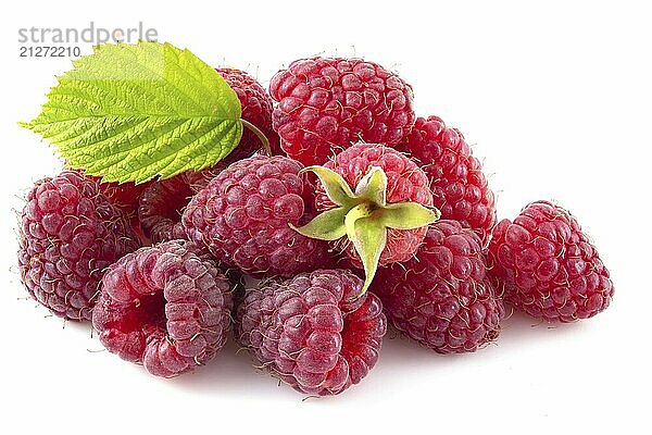 Frische Himbeeren und grünes Blatt vor weißem Hintergrund