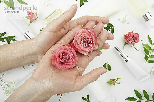 Rose Knospen in kaukasischen Modell Hände auf weißem Hintergrund mit kosmetischen Flaschen Tuben und Tropfenzähler