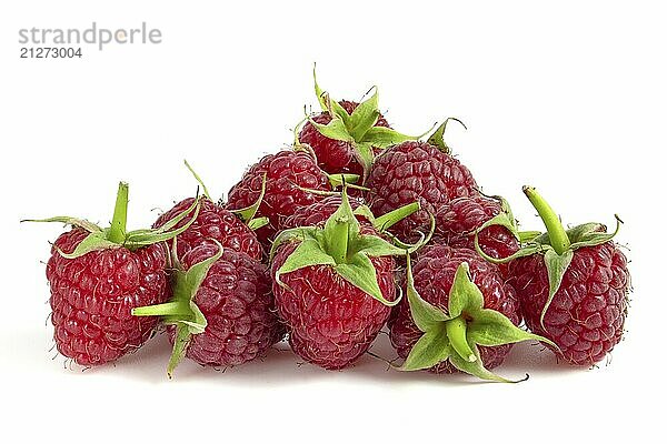 Reife Himbeeren vor weißem Hintergrund Nahaufnahme