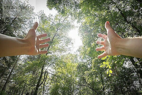 Persönliche Perspektive eines Mannes mit ausgestreckten Armen in einem Wald