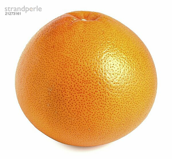 Reife Orangenfrucht  Grapefruit vor weißem Hintergrund