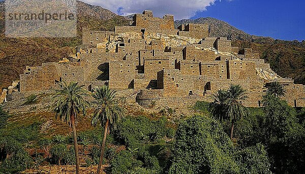 Dorf  Bergdorf  Architektur  Häuser  Thee Ain  Naher Osten  Saudi Arabien  Saudi Arabien