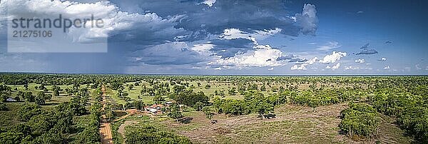 Luftbildpanorama der typischen Pantanal Landschaft mit Transpantaneira  Wiesen  Wald  Weide  Sonnenlicht und dramatischem Himmel  Pantanal Feuchtgebiete  Mato Großo  Brasilien  Südamerika