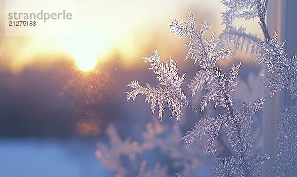 Ein frostiger Zweig eines Baumes mit einer Sonne im Hintergrund. Die Sonne geht unter und der Himmel ist eine schöne orange Farbe AI erzeugt  KI generiert