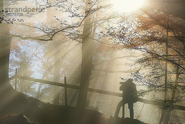 Konzeptuelles Bild mit der Silhouette eines Mannes  der eine Kamera hält  während er in einen Wald wandert  unter den warmen Sonnenstrahlen des Oktobers