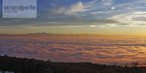 Sonnenuntergang in ein Nebelmeer über dem Bodensee  Inversionswetterlage mit Alpenblick