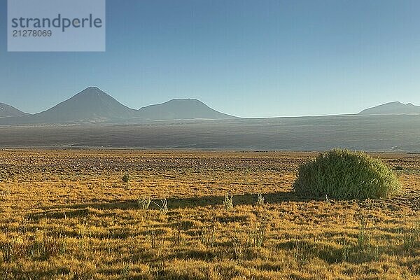 Atacama Wüste  Chile  Anden  Südamerika. Schöne Aussicht und Landschaft  Südamerika