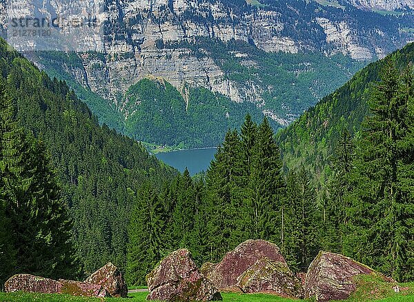 Schöne Naturtapete mit ein paar großen Bergfelsen im grünen Gras der Schweizer Alpen  mit Wäldern und einem See im Hintergrund. Bild aufgenommen in der Nähe des Dorfes Unterterzen  in der Schweiz