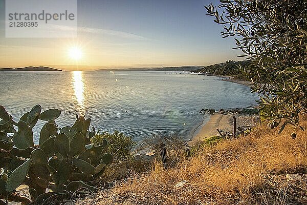 Blick von einem Hügel mit Olivenbäumen auf den Sonnenuntergang und das Meer. Abendstimmung einer mediterranen Landschaft am Strand und an der Küste von Ouranoupoli  Thessaloniki  Zentralmakedonien  Griechenland  Europa