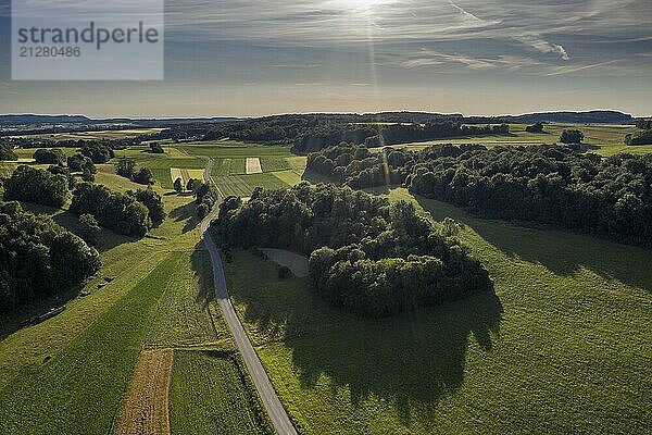 Sommerlandschaft