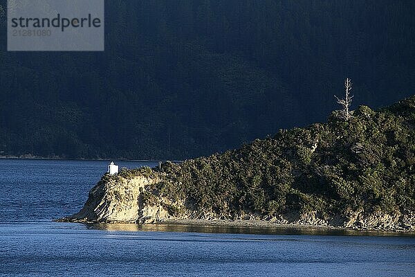 Fährenansicht Picton Neuseeland zur Südinsel