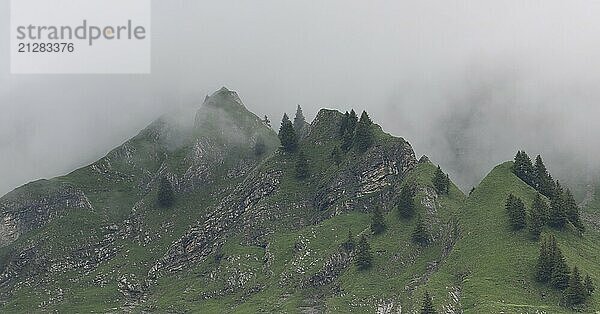 Schöne Berglandschaft unterhalb des Brienzer Rothorns