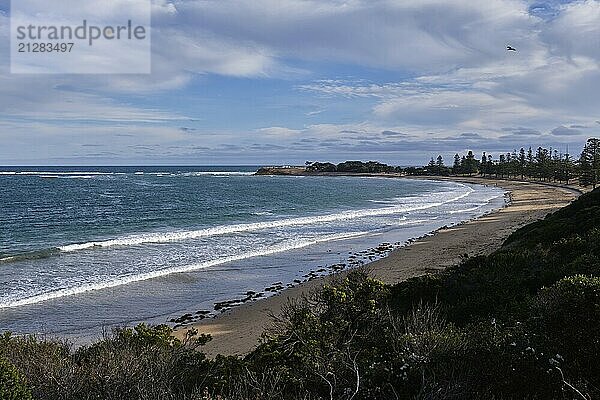 Front Beach an der Zealley Bay zwischen Yellow Bluff und Point Danger  Torquay  Victoria  Australien  Ozeanien