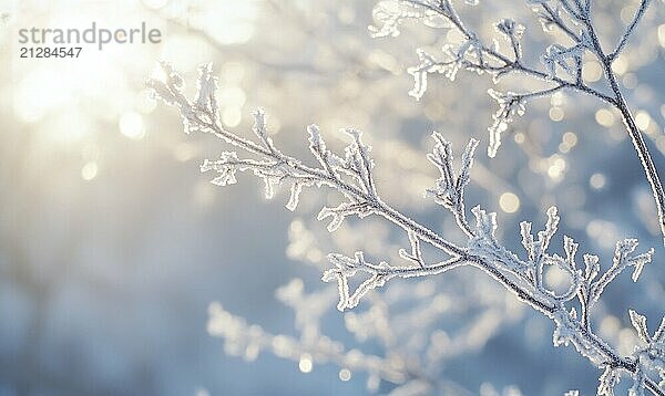 Ein mit Frost und Schnee bedeckter Zweig. Die Sonne scheint auf den Zweig und schafft eine schöne und heitere Szene AI erzeugt  KI generiert