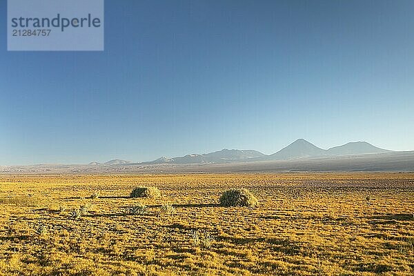 Atacama Wüste  Chile  Anden  Südamerika. Schöne Aussicht und Landschaft  Südamerika