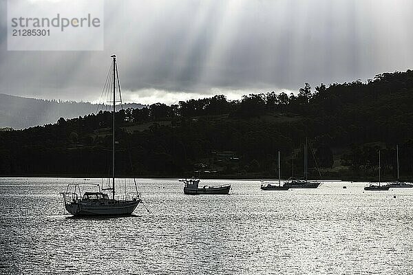 Blick auf die Landschaft von Port Huon bei Sonnenuntergang an einem kühlen Sommertag auf der Southern Peninsula im Huon Valley  Tasmanien  Australien  Ozeanien