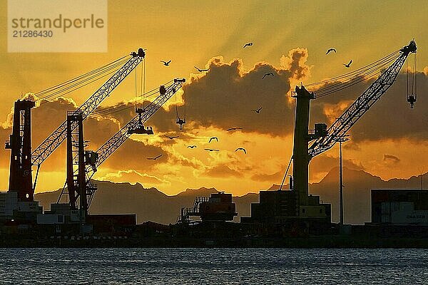 Kran  Kräne  Hafen  Silhouetten  Wirtschaftswachstum  Konjunktur  Aufschwung  Sonnenuntergang