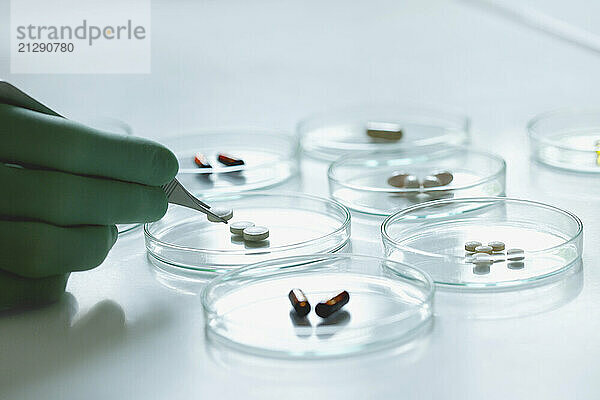 Scientist Holding Pill with Tweezers over Petri Dish