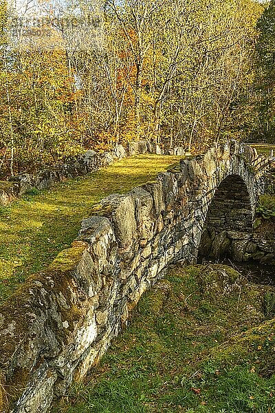 Old vault bridge over a river