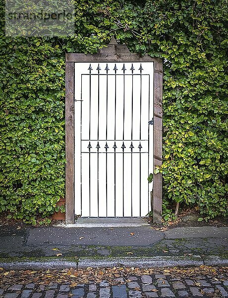 A Gate In A Hedge Outside A Luxury Home  With Isolated Background