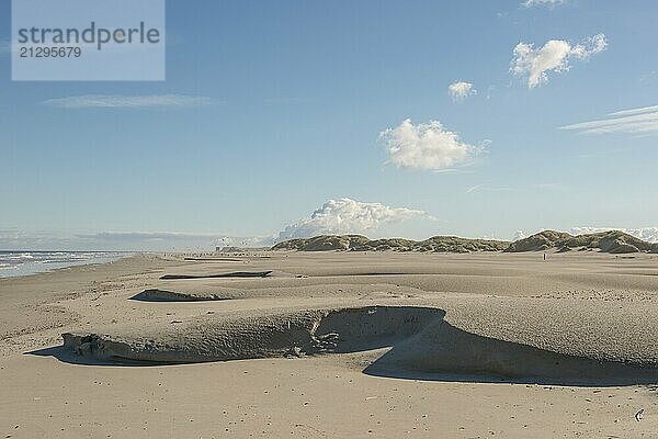 The North Sea Beach of the island Terschelling in the North of the Netherlands. In the background the so called