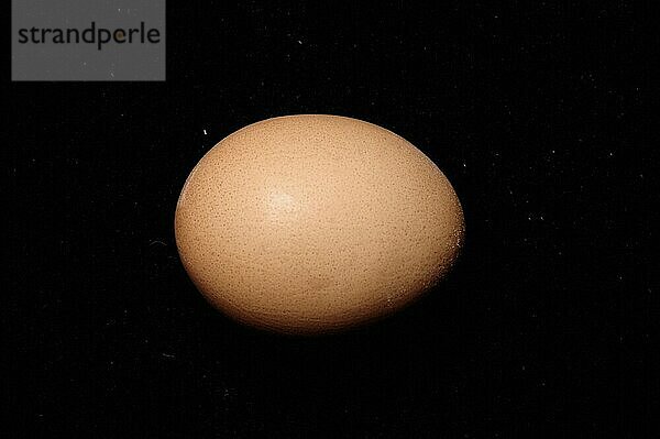 Egg  Close Up against black background