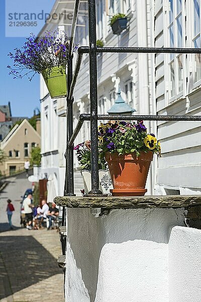 Flowers in pots on stairs at house