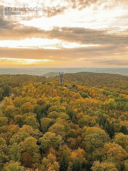 The observation tower towers above an autumn-coloured forest in the warm light of the sunset  Schönbuchturm  Herrenberg  Germany  Europe