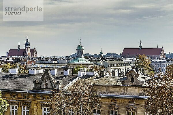 View of the roofs of Krakow from Wawel castle  Poland  Europe