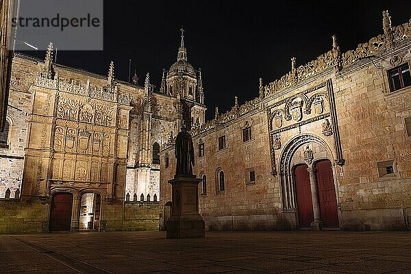 Beautiful view of famous University of Salamanca at night  the oldest university in Spain  Castilla y Leon region. Plateresque architecture