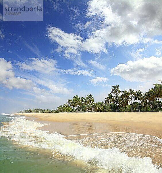 Beautiful beach landscape  ocean in India