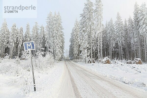 Meeting place on a narrow forest road in a beautiful winter landscape