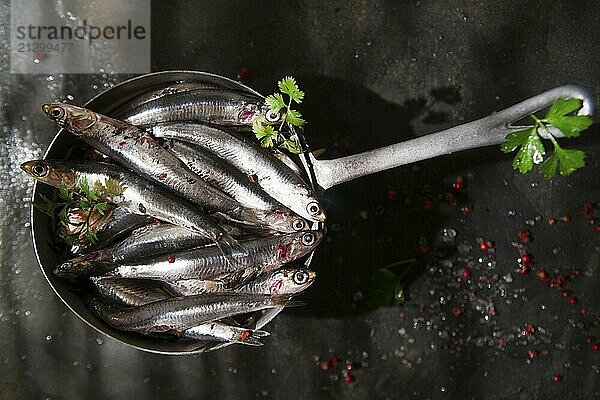 Presentation of a small strainer raw anchovies on a black background