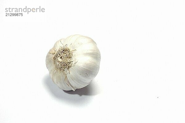 Garlic  Close Up against white background