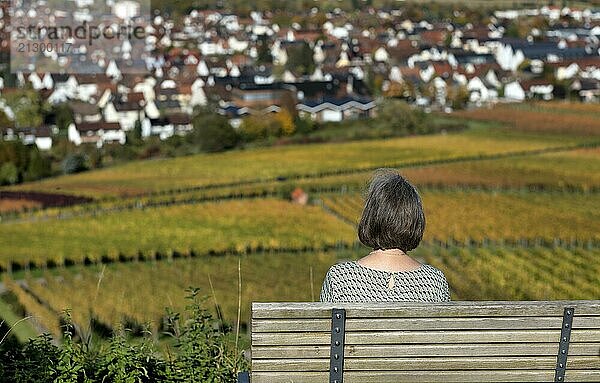 Elderly woman sitting on bench  park bench  enjoying view of vineyard  vines  grapevines  viticulture  autumn colours  autumn  Kappelberg  Fellbach  Waiblingen  Baden-Württemberg  Germany  Europe