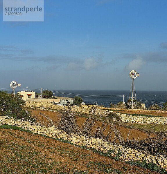 View of typical cottage and wind wheels in the countryside of Malta in warm evening light