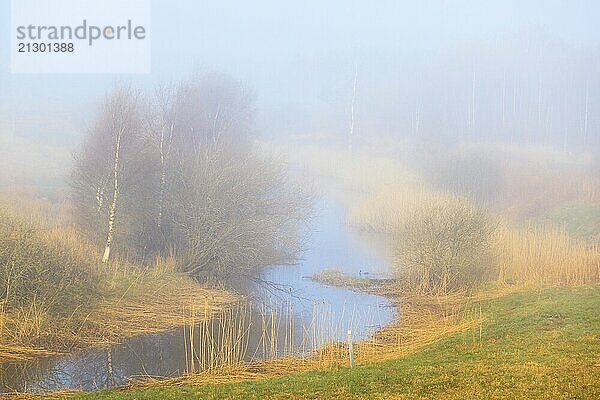 Misty spring morning at the river