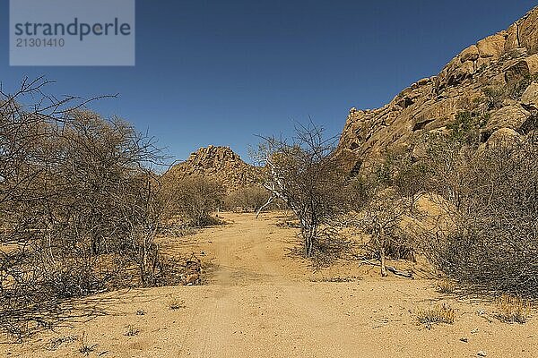 Dirt road in a beautiful landscape  Namibia  Africa