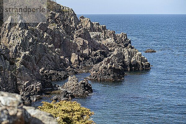 Molle  Sweden  May 3  2022: Rocky cliffs at Kullaberg Nature Reserve in Scania Region  Europe